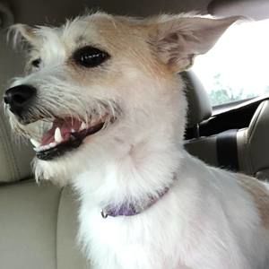 Meet your Posher, Gwen